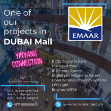 One of our Project in Dubai Mall - YINYANG Connection